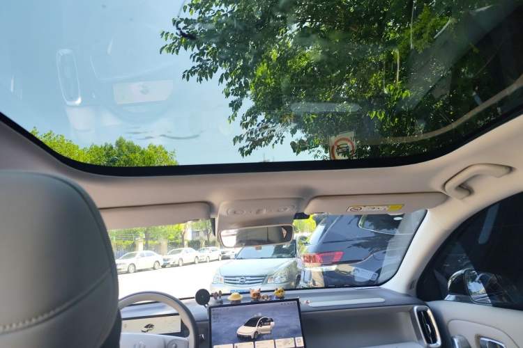 Used Leapmotor B01 2025 550 Enjoyment Edition Headliner