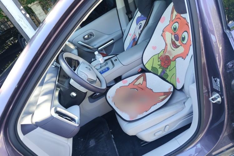 Used Leapmotor B01 2025 550 Enjoyment Edition Left Front Seat