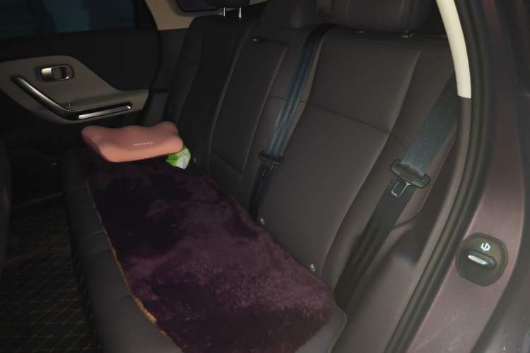 Used Leapmotor B01 2025 650 LiDAR Edition Left Rear Seat