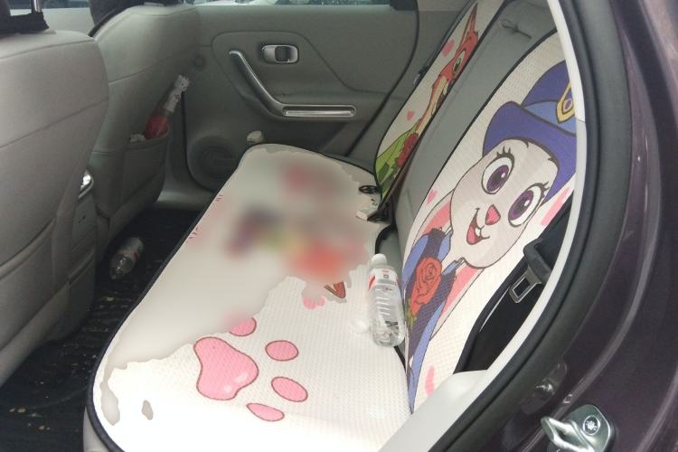 Used Leapmotor B01 2025 550 Enjoyment Edition Left Rear Seat