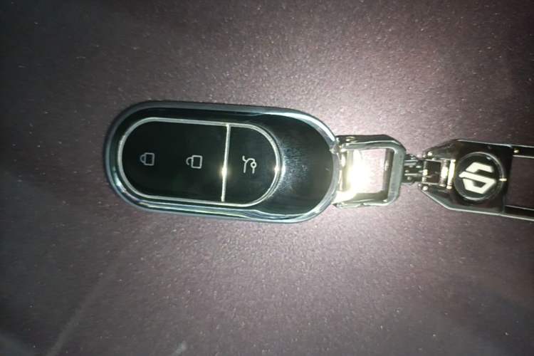 Used Leapmotor B01 2025 550 Comfort Edition Vehicle Key