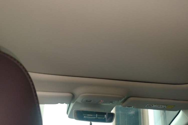 Used Leapmotor B01 2025 650 Enjoyment Edition Headliner