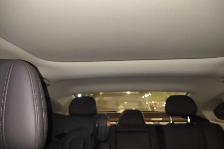 Used Leapmotor B01 2025 650 Enjoyment Edition Headliner