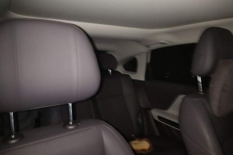 Used Leapmotor B01 2025 650 Enjoyment Edition Headliner