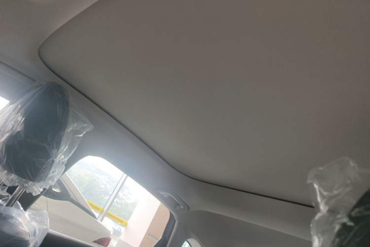 Used Leapmotor B01 2025 650 Enjoyment Edition Headliner