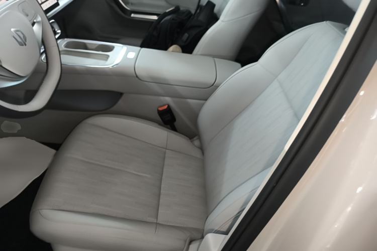 Used Leapmotor B01 2025 550 Comfort Edition Left Front Seat