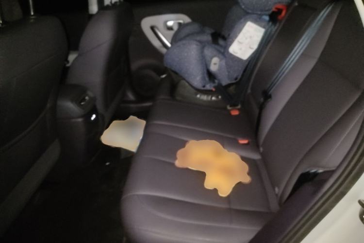 Used Leapmotor B01 2025 650 Enjoyment Edition Left Rear Seat
