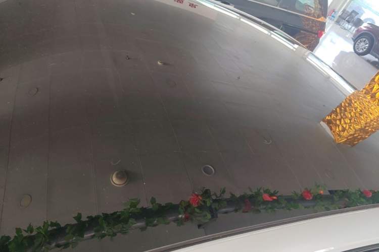 Used Leapmotor B01 2025 650 Enjoyment Edition Roof