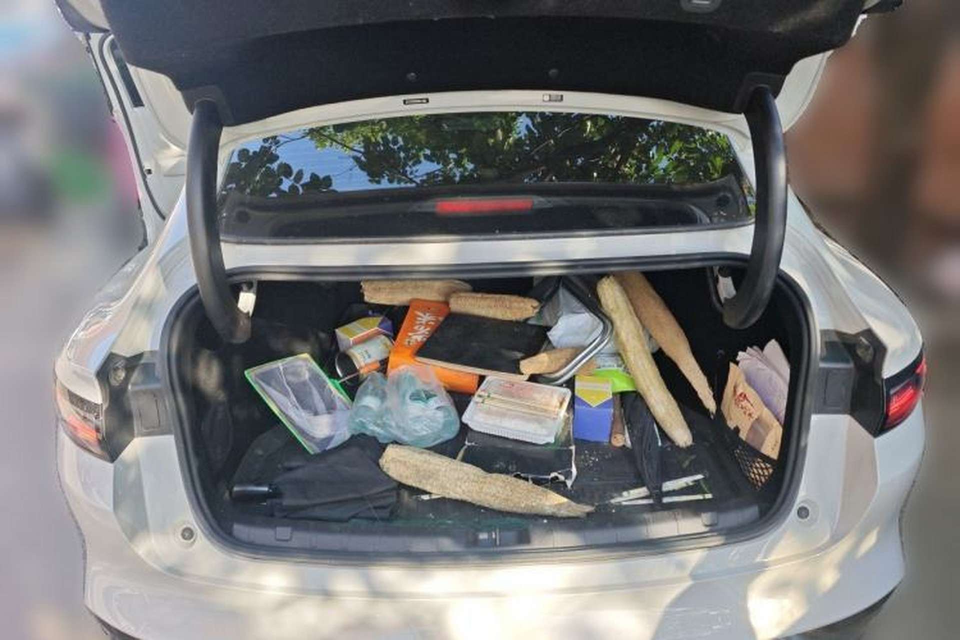Used Leapmotor B01 2025 550 Enjoyment Edition Trunk