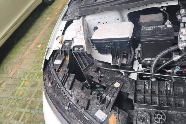 Used Leapmotor B01 2025 550 Smart Drive Edition Engine Bay Right