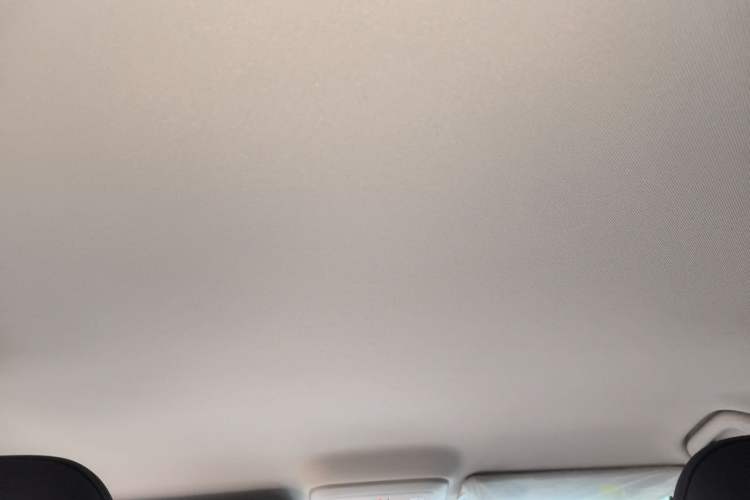 Used Leapmotor B01 2025 550 Smart Drive Edition Headliner