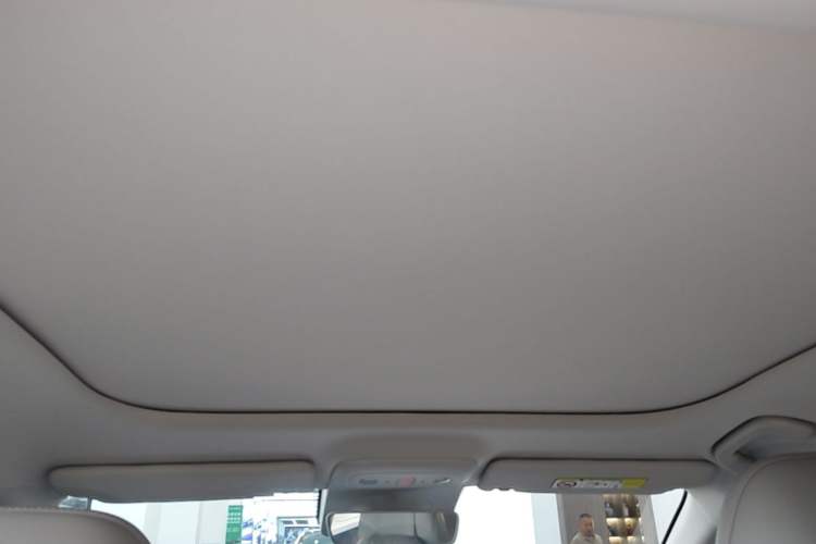 Used Leapmotor B01 2025 550 Enjoyment Edition Headliner