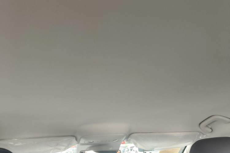 Used Leapmotor B01 2025 550 Smart Drive Edition Headliner