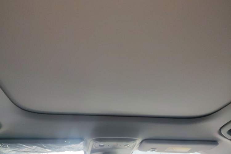 Used Leapmotor B10 2025 510 Joyful Edition Headliner