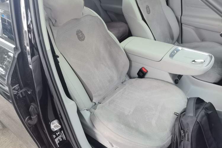 Used Leapmotor B10 2025 510 Joyful Edition Right Front Seat
