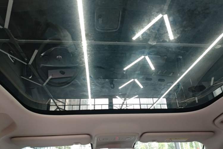 Used Leapmotor B10 2025 510 Joyful Edition Headliner