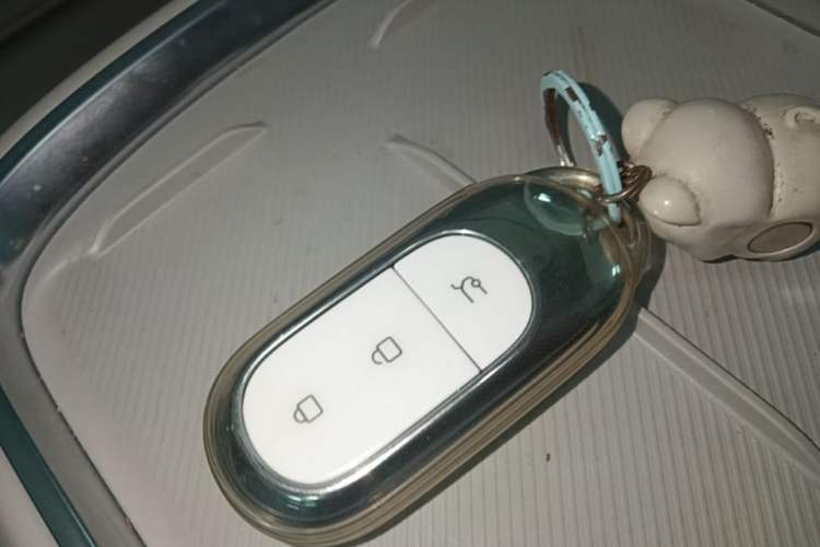 Used Leapmotor B10 2025 510 LiDAR Version Vehicle Key