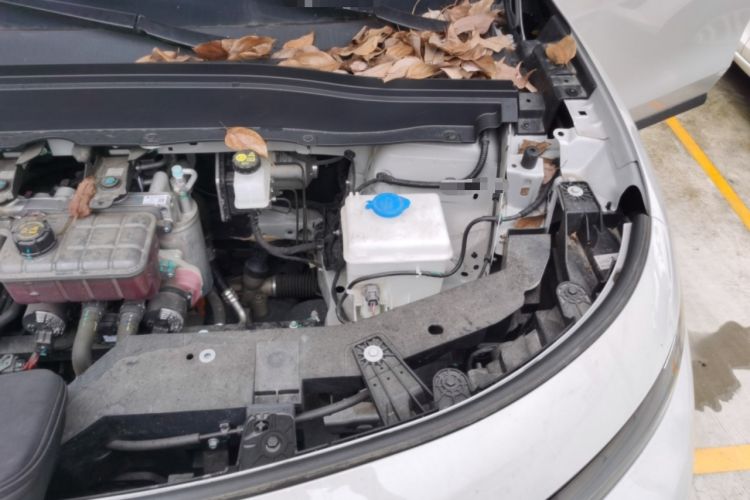 Used Leapmotor B10 2025 510 Joyful Edition Engine Bay Left