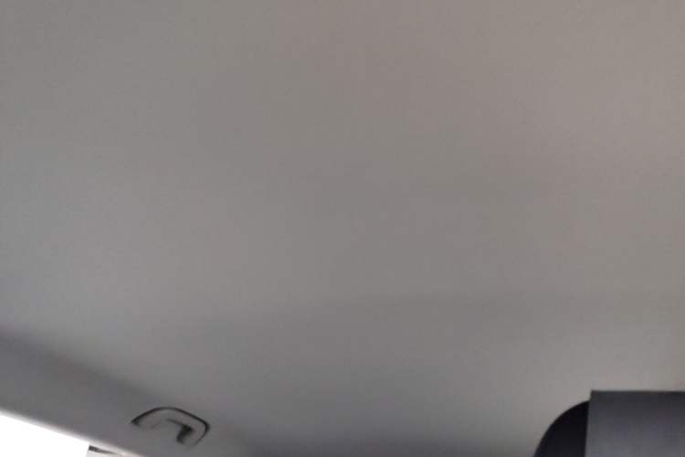 Used Leapmotor B10 2025 510 Comfort Edition Headliner