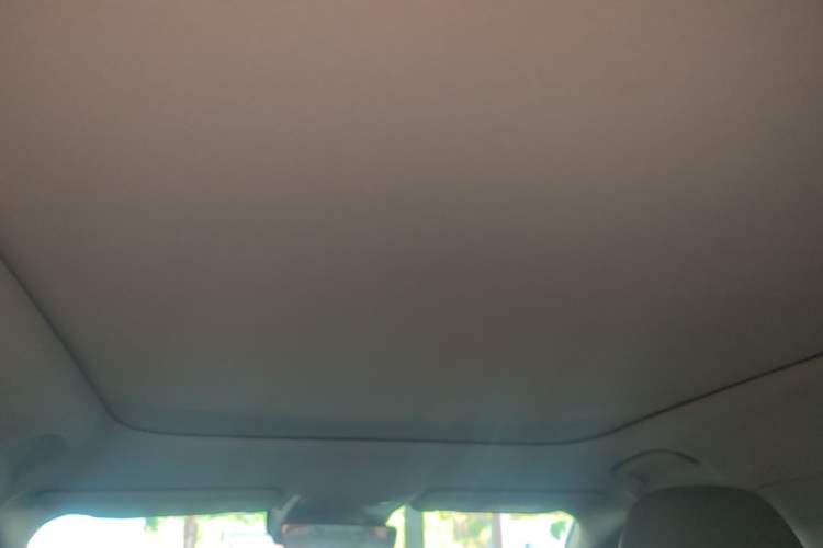 Used Leapmotor B10 2025 510 Joyful Edition Headliner