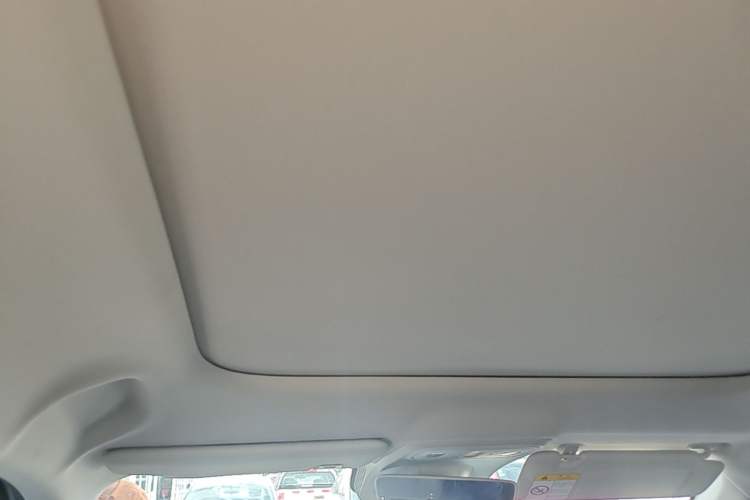 Used Leapmotor B10 2025 510 Joyful Edition Headliner