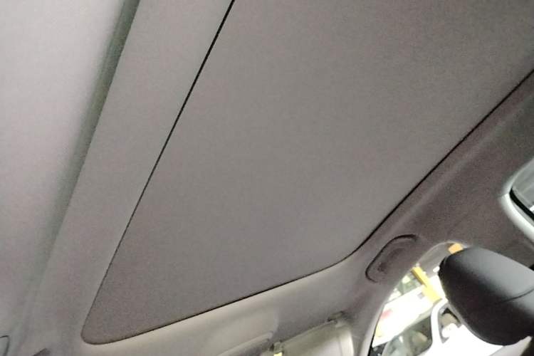 Used Leapmotor B10 2025 510 Joyful Edition Headliner