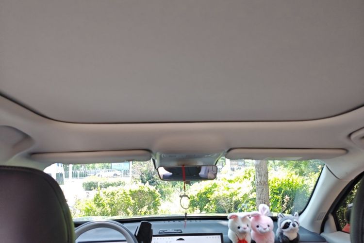 Used Leapmotor B10 2025 510 Joyful Edition Headliner
