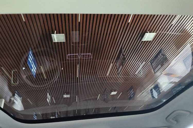 Used Leapmotor B10 2025 510 Joyful Edition Headliner