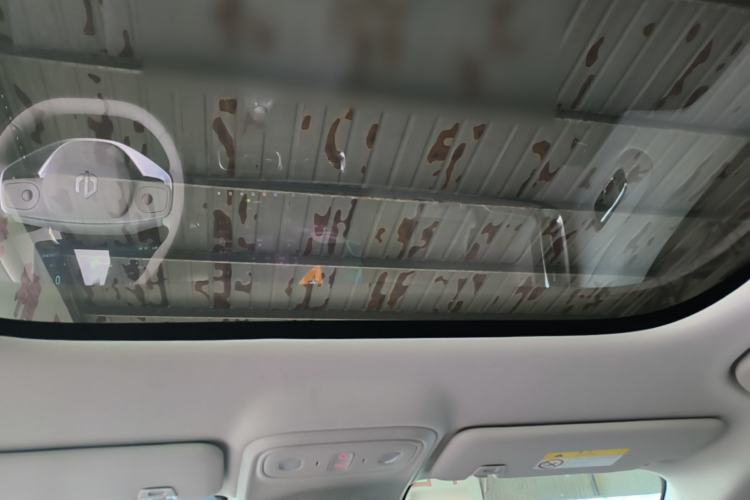 Used Leapmotor B10 2025 510 Joyful Edition Headliner