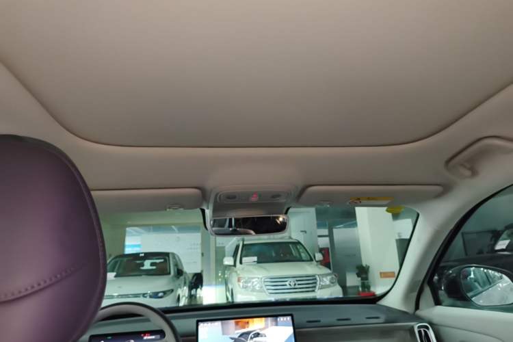 Used Leapmotor B10 2025 510 Joyful Edition Headliner