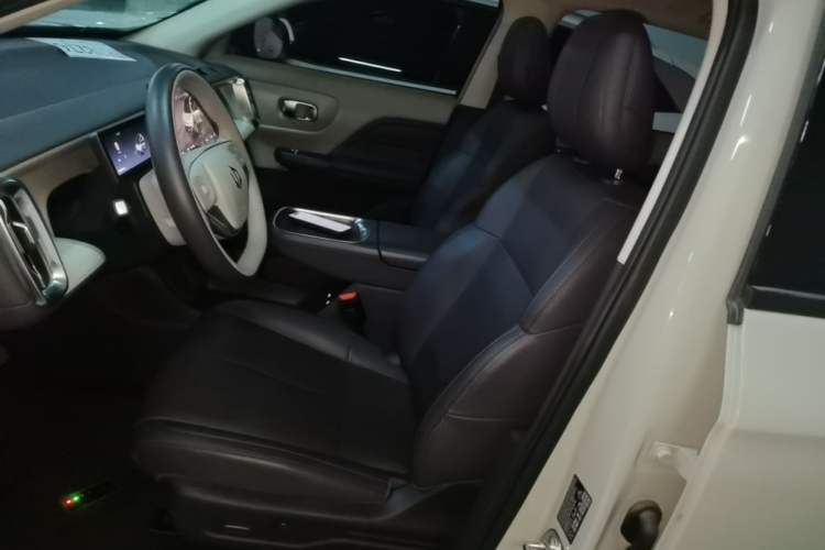 Used Leapmotor B10 2025 510 Joyful Edition Left Front Seat