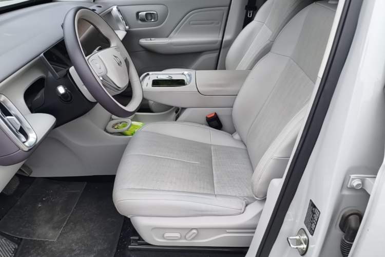 Used Leapmotor B10 2025 510 Joyful Edition Left Front Seat
