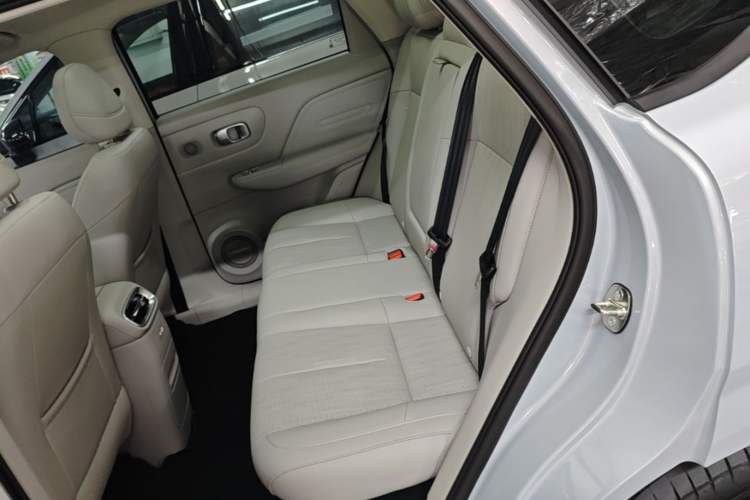 Used Leapmotor B10 2025 510 Joyful Edition Left Rear Seat