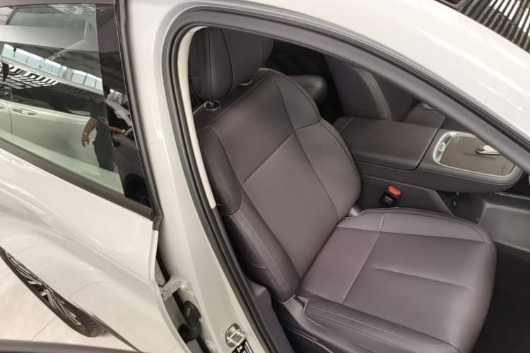 Used Leapmotor B10 2025 510 Joyful Edition Right Front Seat