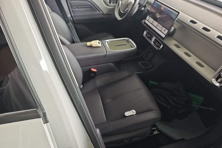 Used Leapmotor B10 2025 510 Joyful Edition Right Front Seat