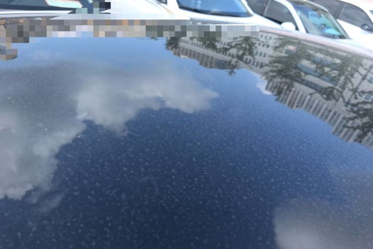 Used Leapmotor B10 2025 510 Joyful Edition Roof