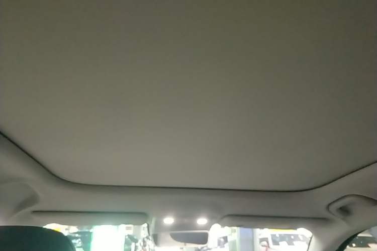 Used Leapmotor B10 2025 510 Joyful Edition Headliner