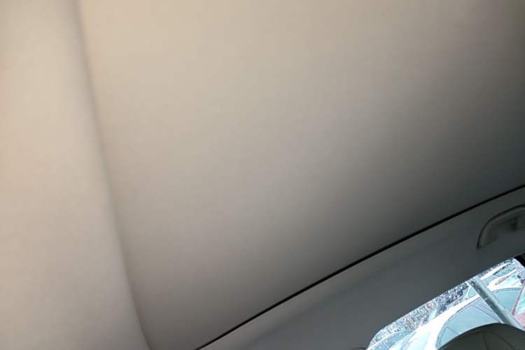 Used Leapmotor B10 2025 510 Joyful Edition Headliner