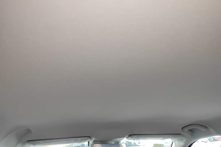 Used Leapmotor B10 2025 510 Comfort Edition Headliner