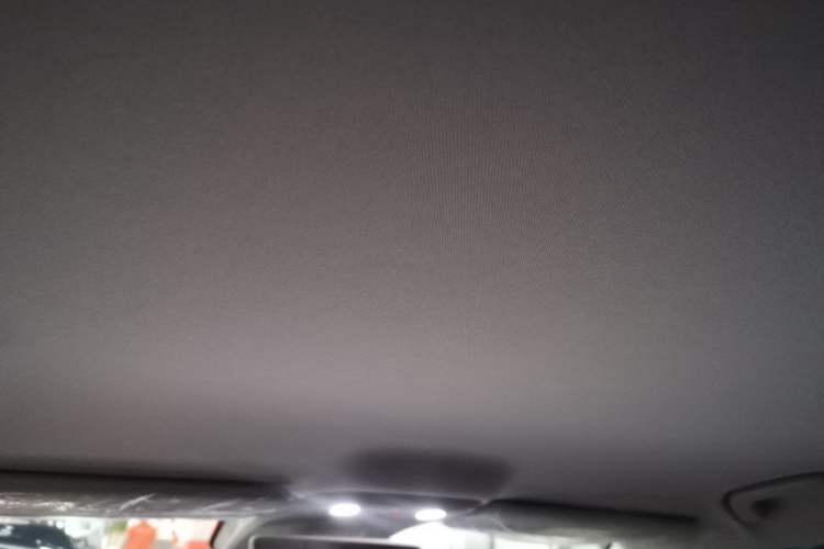 Used Leapmotor B10 2025 510 Comfort Edition Headliner