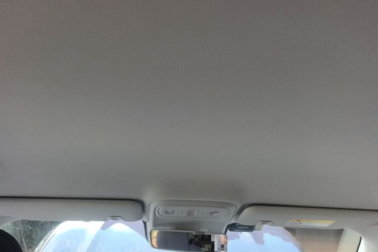 Used Leapmotor B10 2025 510 Comfort Edition Headliner