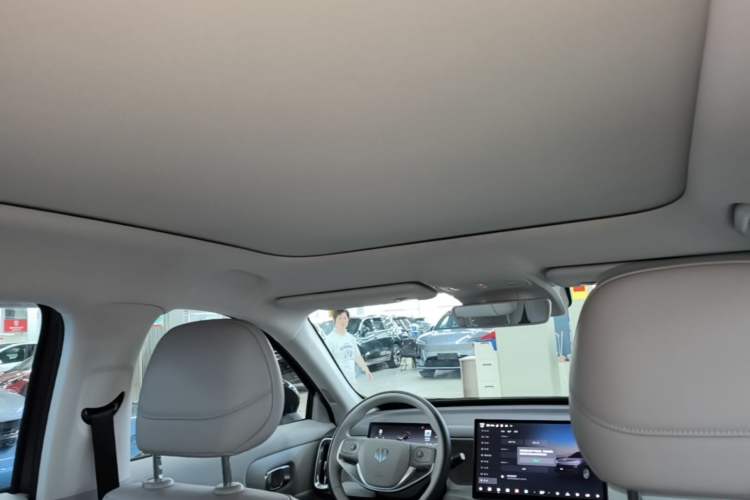 Used Leapmotor B10 2025 510 Joyful Edition Headliner