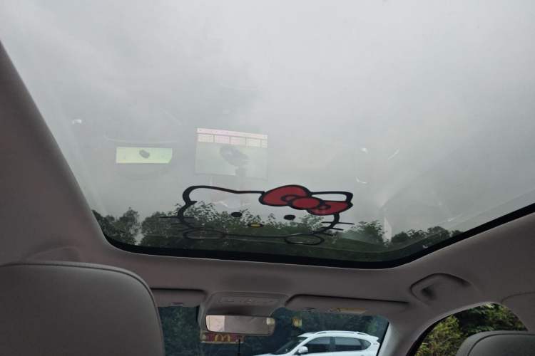 Used Leapmotor B10 2025 510 Joyful Edition Headliner