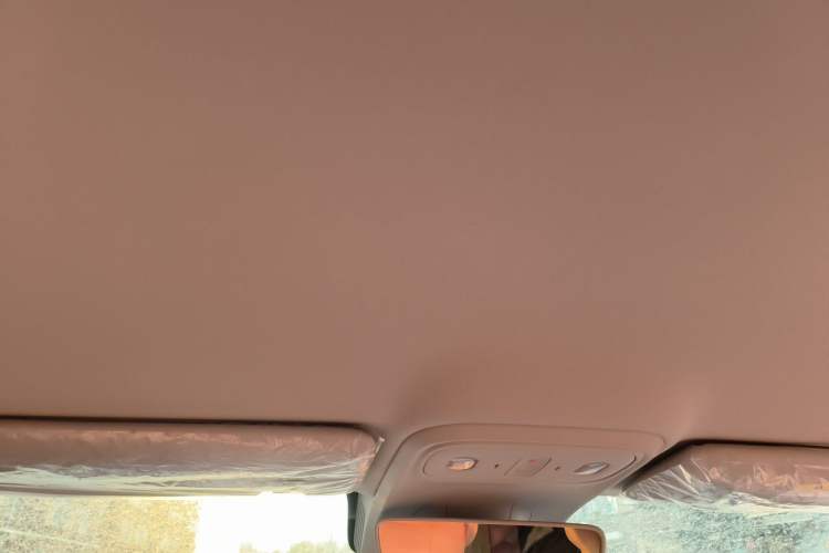 Used Leapmotor B10 2025 510 Comfort Edition Headliner
