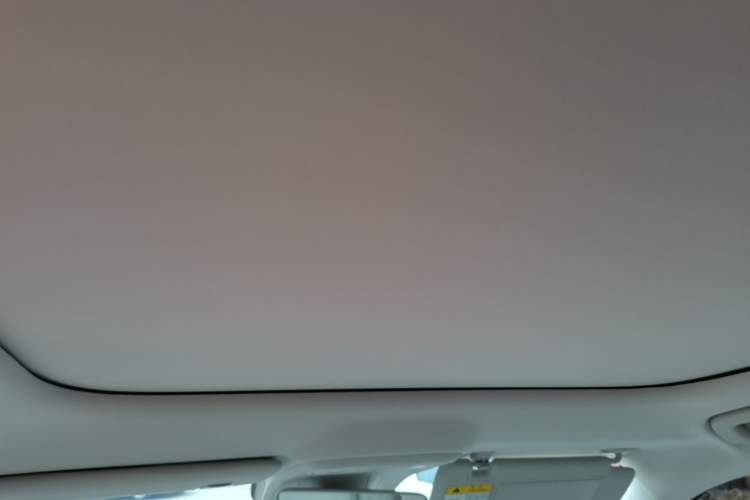 Used Leapmotor B10 2025 510 Joyful Edition Headliner