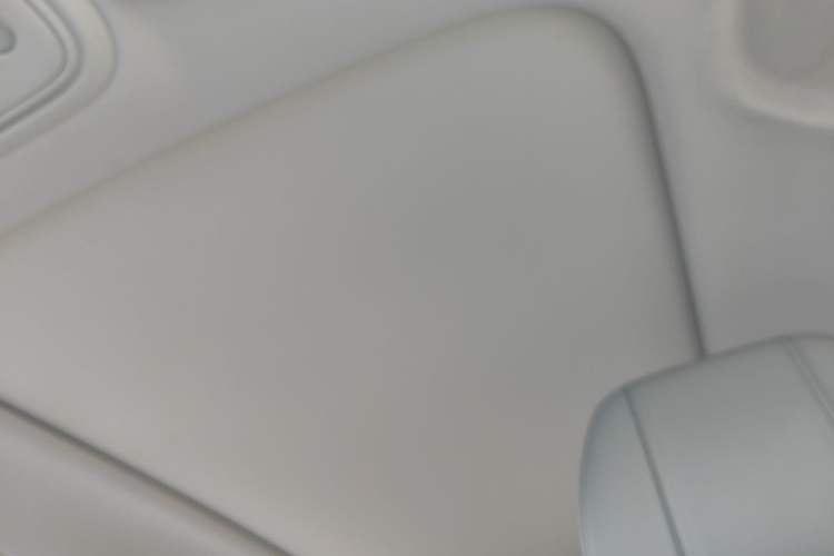 Used Leapmotor B10 2025 510 Joyful Edition Headliner