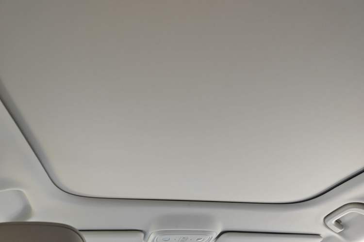 Used Leapmotor B10 2025 510 Joyful Edition Headliner