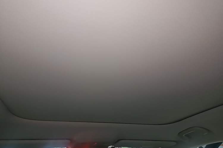 Used Leapmotor B10 2025 510 Joyful Edition Headliner