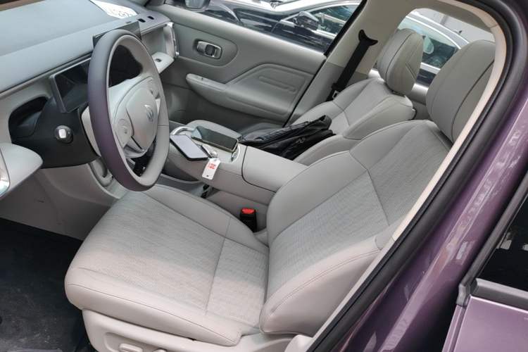 Used Leapmotor B10 2025 510 Joyful Edition Left Front Seat