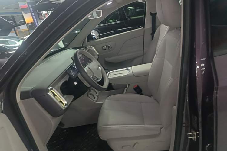 Used Leapmotor B10 2025 510 Joyful Edition Left Front Seat